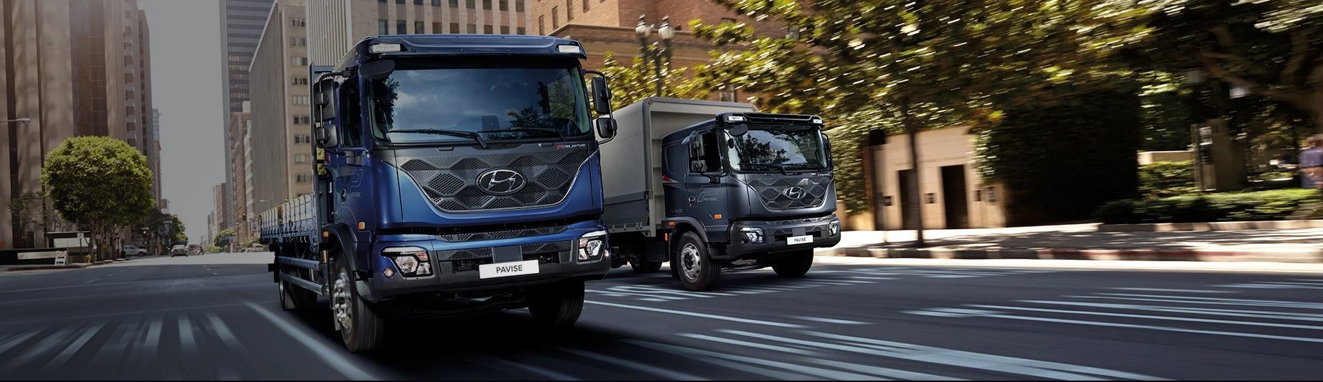 PAVISE short - Особенности