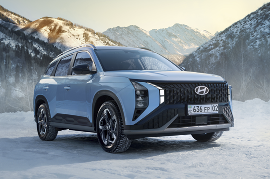 Diamond параметрлік алдыңғы торы.